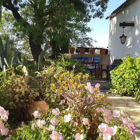 Casa Kamari Feriehus